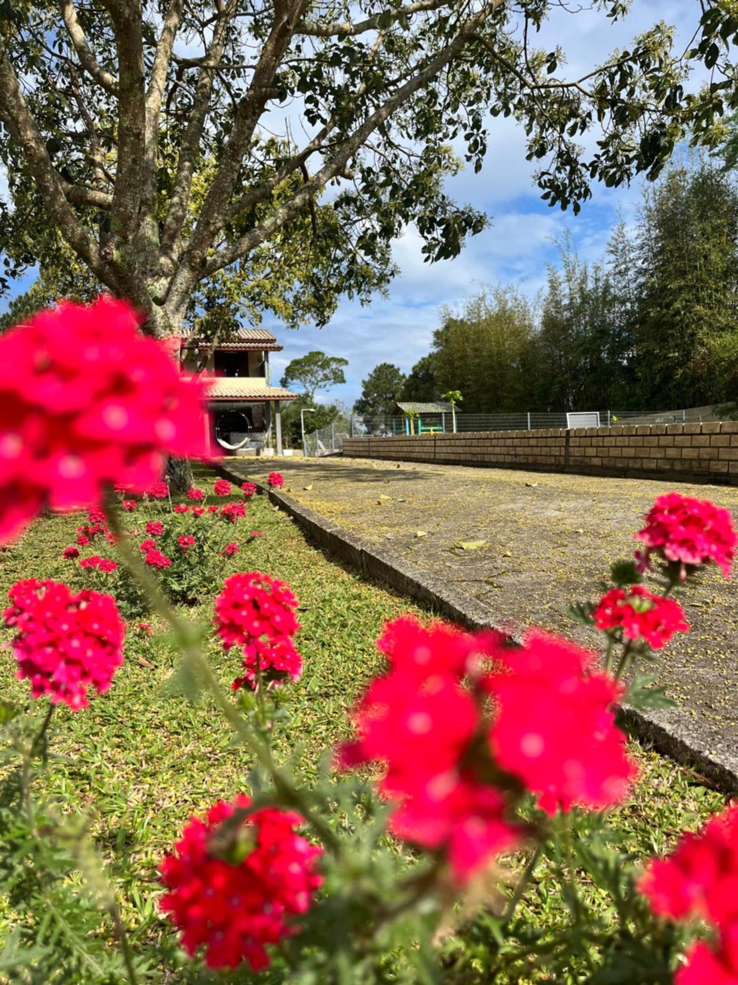 Encantos Do Rosa Imbituba  Buitenkant foto